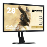 Preview: Iiyama G-MASTER GB2888UHSU-B1