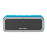 Preview: Blaupunkt BT12