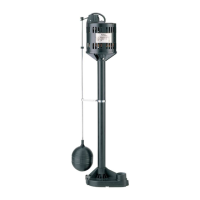 Preview: Flotec FPPM3600D