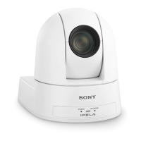 Preview: Sony SRG-300SEC