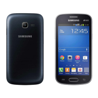 Preview: Samsung GT-S7262