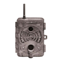 Preview: Spypoint LIVE