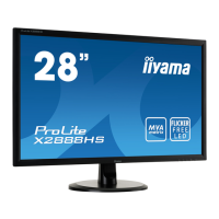 Preview: Iiyama ProLite X2888HD