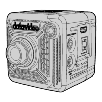 Preview: Datavideo BC-15PN