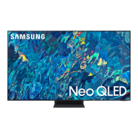 Preview: Samsung QN65QN9 B Series