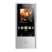 Preview: Sony NW-ZX100