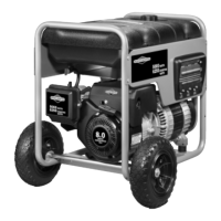 Preview: Briggs & Stratton 30219