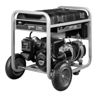 Preview: Briggs & Stratton 30358