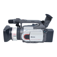 Preview: Canon DM-GL1