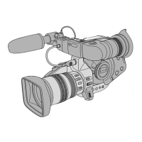 Preview: Canon XL 1S