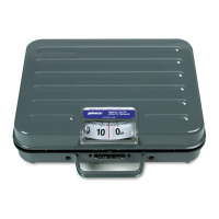 Preview: Pelouze P100 S