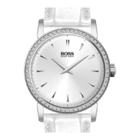 Preview: Boss Watches