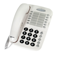 Preview: Geemarc CL1100