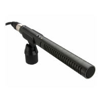 Preview: RODE Microphones NTG-1
