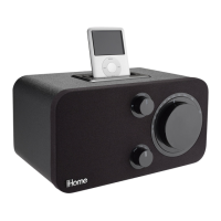 Preview: iHome iH10