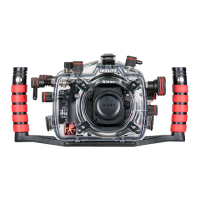 Preview: Ikelite D90