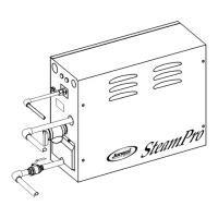 Preview: Jacuzzi SteamPro