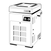 Preview: Laars Lite 2 LG, Lite 2 LD