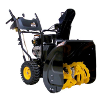 Preview: McCulloch 96192004000