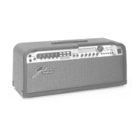 Preview: Integrated Modeling Amplifier