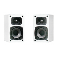 Preview: Mirage AVS-100