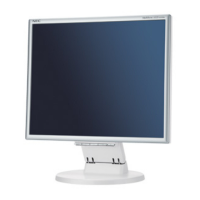 Preview: NEC MultiSync LCD195VXM+