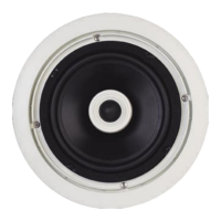 Preview: Nuvo AccentPLUS Speaker