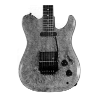 Preview: Peavey Generation Custom