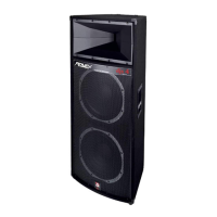 Preview: Peavey DJS 4