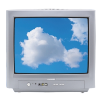 Preview: Philips 17 PT1565