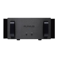 Preview: Plinius SB-301