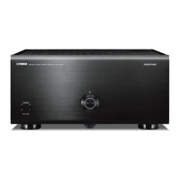 Preview: Yamaha MX-A5000