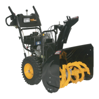 Preview: Poulan Pro 438361