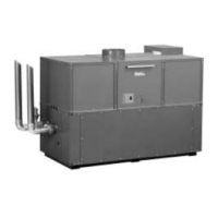 Preview: Raypak 302-902