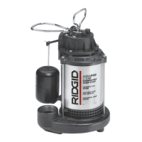 Preview: RIDGID PUMPS