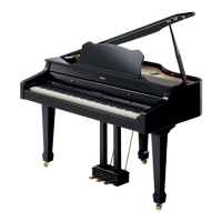 Preview: Roland RG-3