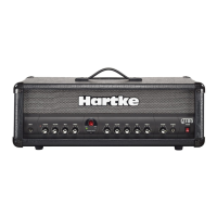Preview: Hartke GT100