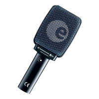 Preview: Sennheiser Evolution E 906