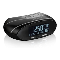 Preview: Sharper Image IB-ECB130