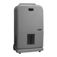 Preview: Soleus Air CFM-65