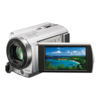 Preview: Sony Handycam DCR-SR58E