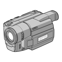 Preview: Sony TRV315