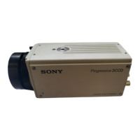 Preview: Sony DXC-9100 P