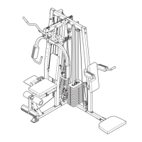 Preview: Weider WESY39522