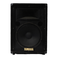 Preview: Yamaha S10e