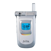 Preview: Samsung SGH-V200