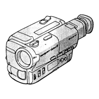 Preview: Sony Handycam CCD-TR83