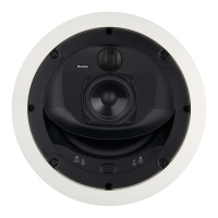 Preview: Boston Acoustics DSi495