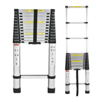 Preview: Mr Safe Telescopic Ladder
