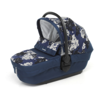 Preview: Foppapedretti Classic